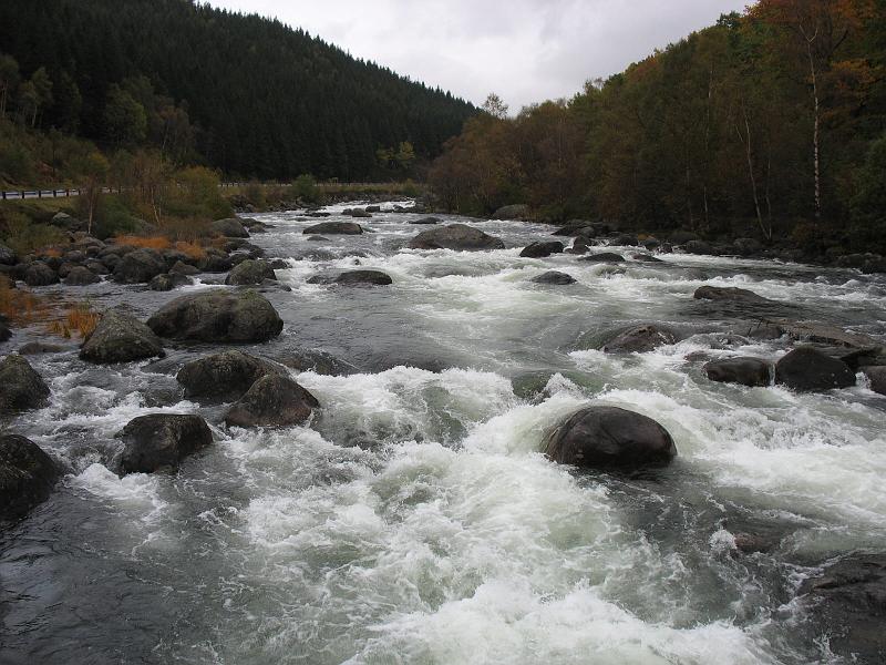 08.10.2008 014.jpg
